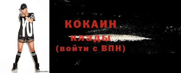 МДПВ Козельск