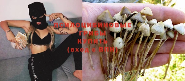 марки nbome Козловка