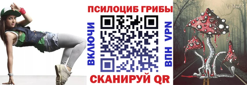 Псилоцибиновые грибы мицелий  где найти наркотики  ссылка на мегу ссылки  Арзамас 